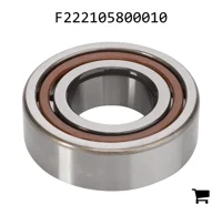 AGCO F222105800010 Цилиндрический роликовый подшипник