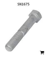 AGCO SN1675 Болт с шестигранной головкой