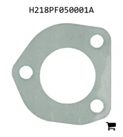 AGCO H218PF050001A Уплотнение