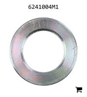 AGCO 6241004M1 Плоская шайба
