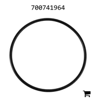 AGCO 700741964 Уплотнительное кольцо