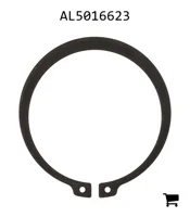 AGCO AL5016623 Кольцо