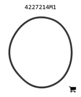 AGCO 4227214M1 Уплотнительное кольцо