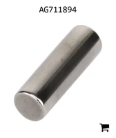 AGCO AG711894 Игольчатый подшипник