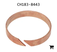 AGCO CH183-8443 Опорное кольцо