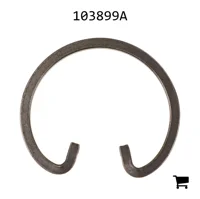 AGCO 103899A Кольцо