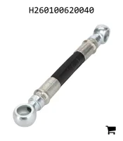 AGCO H260100620040 Шланг высокого давления