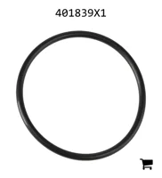 AGCO 401839X1 Уплотнительное кольцо