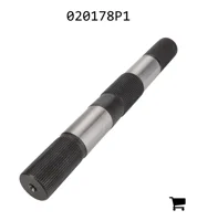 AGCO 020178P1 Вал