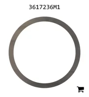 AGCO 3617236M1 Регулировочная шайба