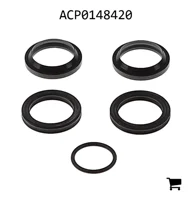 AGCO ACP0148420 Ремкомплект