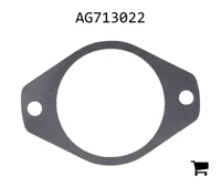 AGCO AG713022 Прокладка адаптера