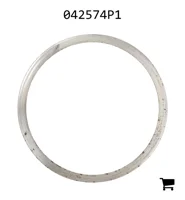 AGCO 042574P1 Шайба