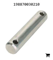 AGCO 198870030210 Болт