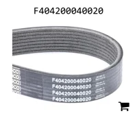 AGCO F404200040020 Поликлиновой ремень