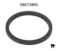 AGCO 506738M1 Уплотнение