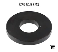 AGCO 3796155M1 Шайба