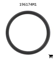 AGCO 196174M1 Уплотнительное кольцо