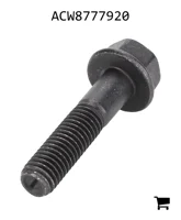 AGCO ACW8777920 Винт с шестигранной головкой и фланцем