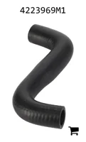 AGCO 4223969M1 Шланг