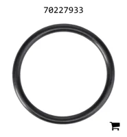 AGCO 70227933 Уплотнительное кольцо