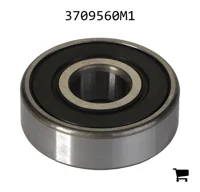 AGCO 3709560M1 Шариковый подшипник