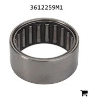 AGCO 3612259M1 Игольчатый подшипник