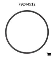 AGCO 70244512 Уплотнительное кольцо