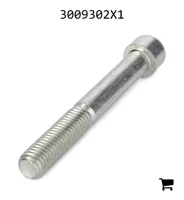 AGCO 3009302X1 Винт с цилиндрической головкой и шестигранным углублением