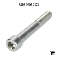AGCO 3009302X1 Винт с цилиндрической головкой и шестигранным углублением
