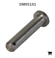 AGCO 390951X1 Палец вилки