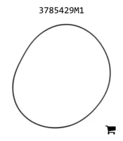 AGCO 3785429M1 Уплотнительное кольцо