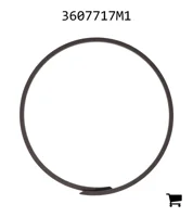 AGCO 3607717M1 Кольцо