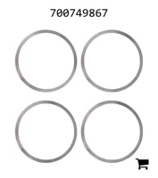 AGCO 700749867 Тормозной комплект