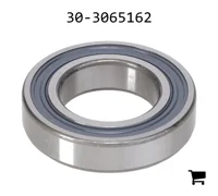 AGCO 30-3065162 Цилиндрический шариковый подшипник