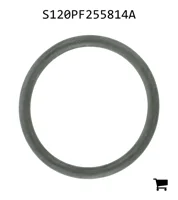 AGCO S120PF255814A Уплотнительное кольцо