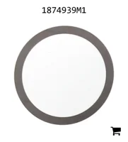 AGCO 1874939M1 Шайба