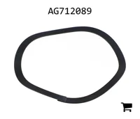 AGCO AG712089 Пружина