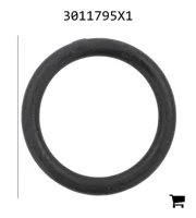 AGCO 3011795X1 Уплотнительное кольцо