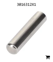 AGCO 3016312X1 Игольчатый подшипник