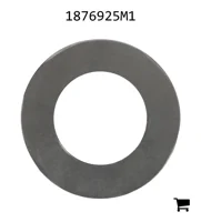 AGCO 1876925M1 Шайба