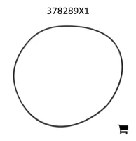 AGCO 378289X1 Уплотнительное кольцо трансмиссии, Ø 247,24 x 3,53 мм