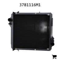 AGCO 3781116M1 Радиатор