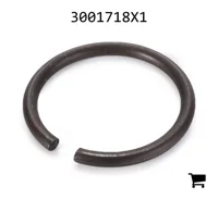 AGCO 3001718X1 Стопорное кольцо