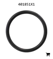 AGCO 401851X1 Уплотнительное кольцо