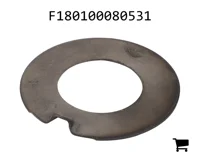 AGCO F180100080531 Упорная шайба