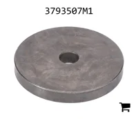 AGCO 3793507M1 Шайба