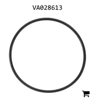 AGCO VA028613 Уплотнительное кольцо