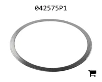 AGCO 042575P1 Шайба