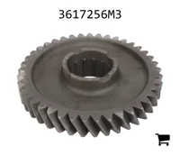 AGCO 3617256M3 Ведущая шестерня